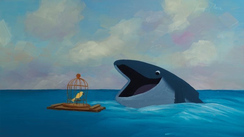 The Bird & the Whale