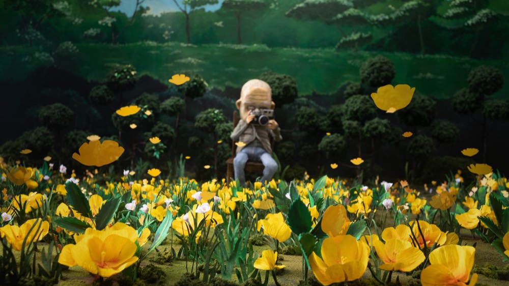 A Man Who Takes Pictures of Flowers — still 1