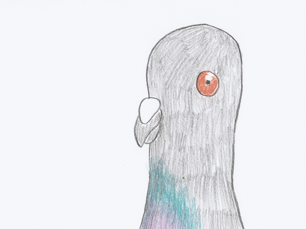 Pigeon Businessman — still 1