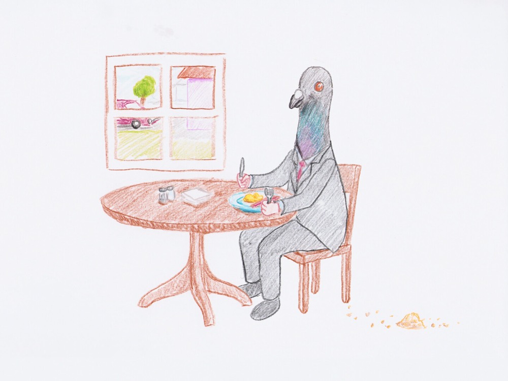 Pigeon Businessman — still 2