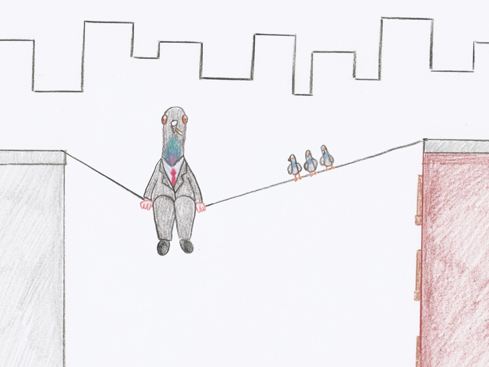 Pigeon Businessman — still 4