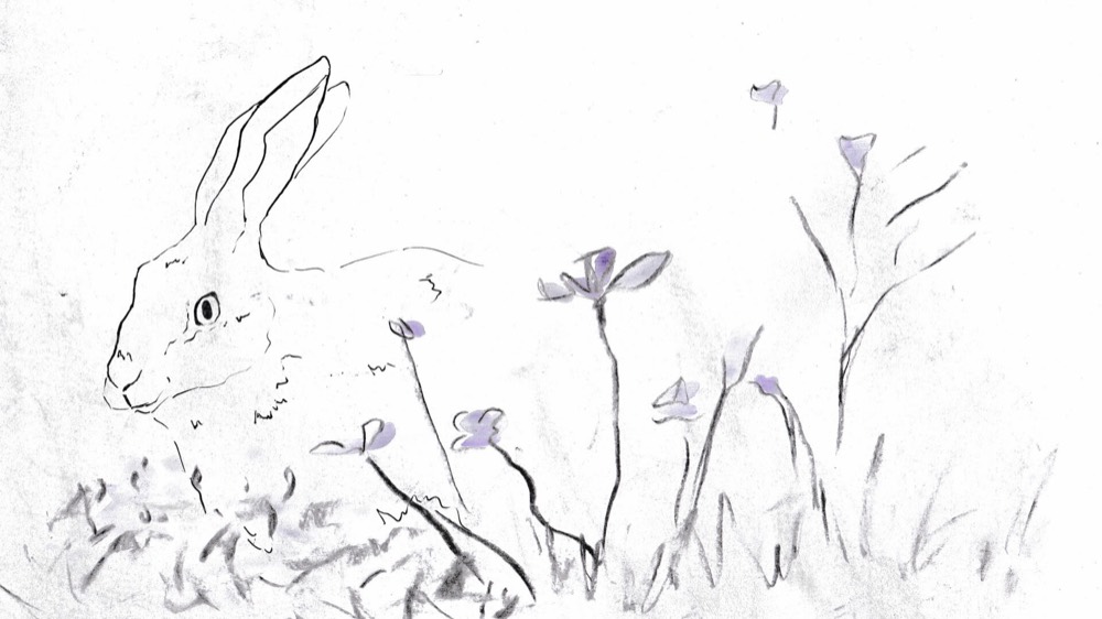 Strokes of Wildflowers — still 2
