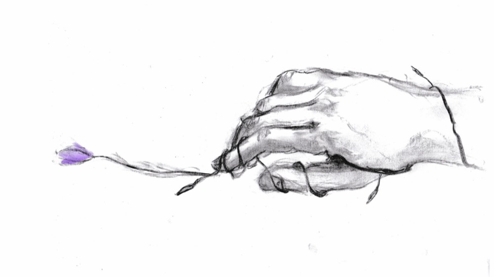Strokes of Wildflowers — still 3