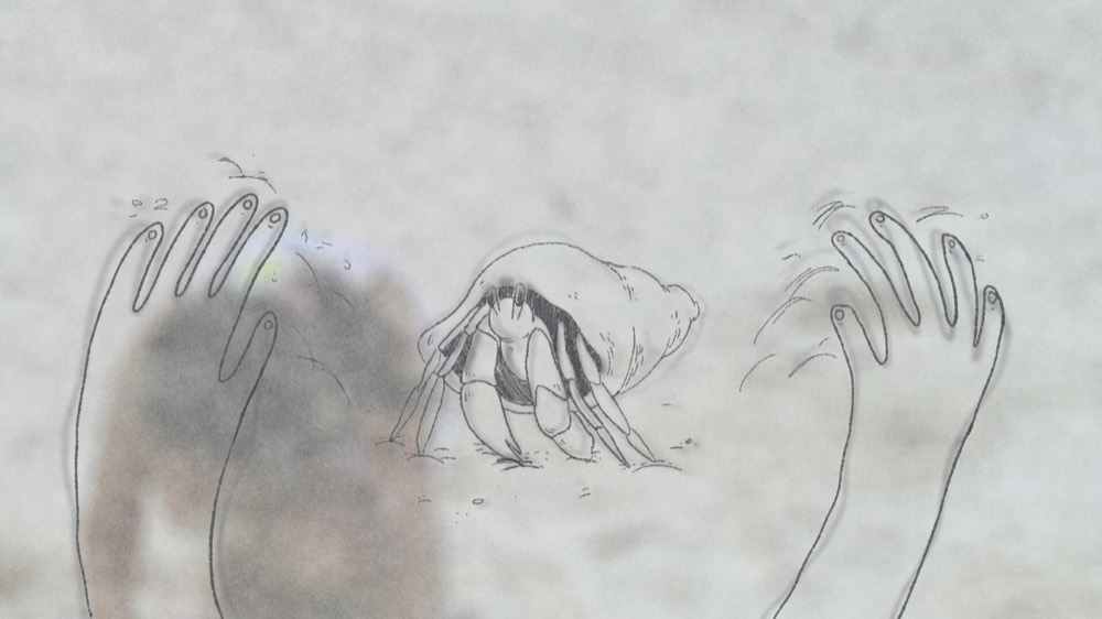 The Hermit Crab — still 1