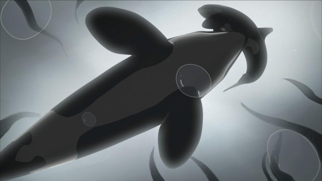 Tahlequah the Whale — still 2