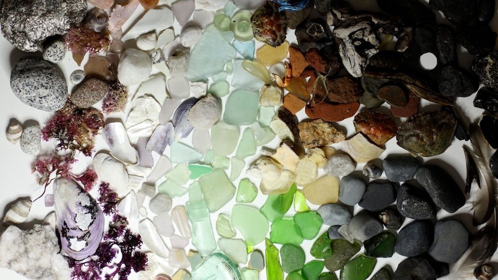 Tideline — still 1